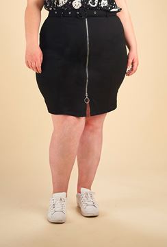 Picture of DENIM SKIRT ZIP J202